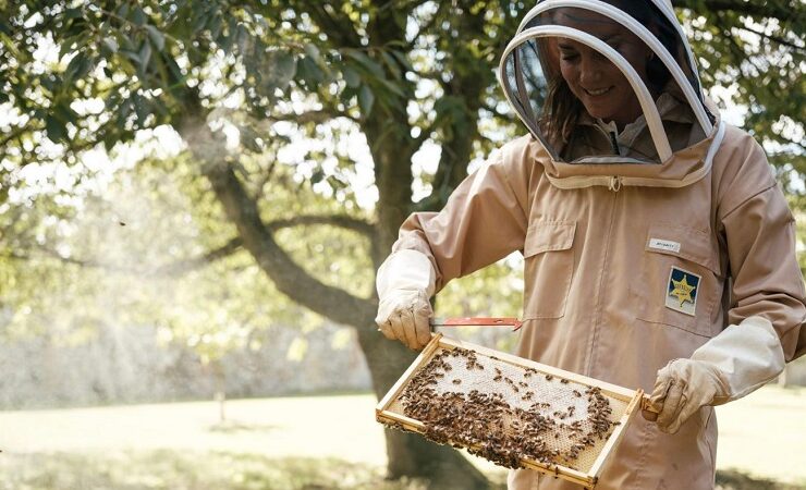 اهمیت زنبورها از دیدگاه آقای فوتبالیست و ملکه بریتانیا! اهمیت زنبورها از دیدگاه آقای فوتبالیست و ملکه بریتانیا!