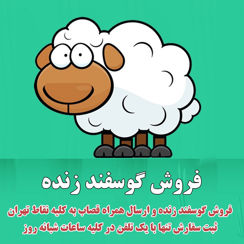 آیا خرید گوسفند زنده به صرفه است؟ اسفند ۱۴۰۲ |  اندلرن