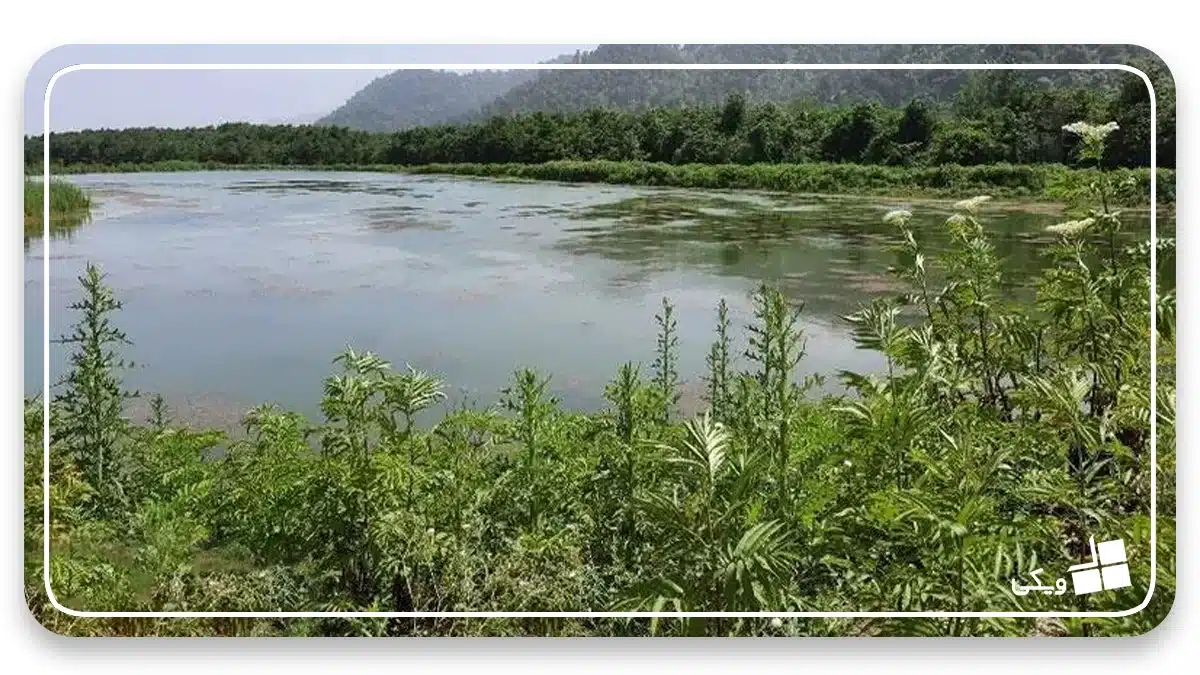 El lago Malat es uno de los mejores lagos de Gilan para los amantes de la naturaleza + ¿Cuáles son los lagos más bellos de Gilan?