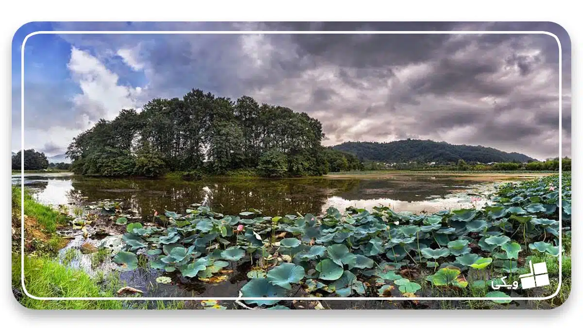 Sustan Lagoon es uno de los mejores lagos de Gilan para los amantes de la naturaleza + ¿Cuáles son los lagos más bellos de Gilan?