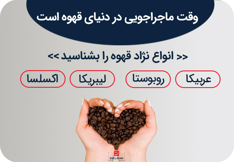 آشنایی با انواع قهوه؛ تفاوت‌ها و ویژگی‌ها به طور کامل