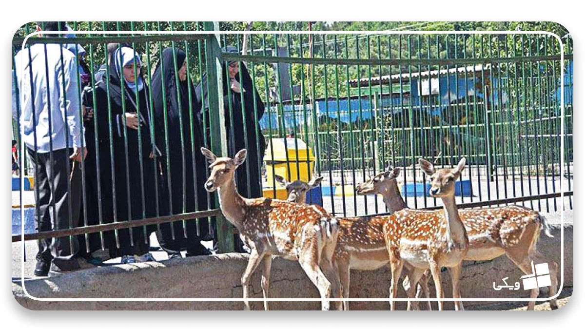 راهنمای سفر به مشهد با ماشین شخصی + چک لیست سفر