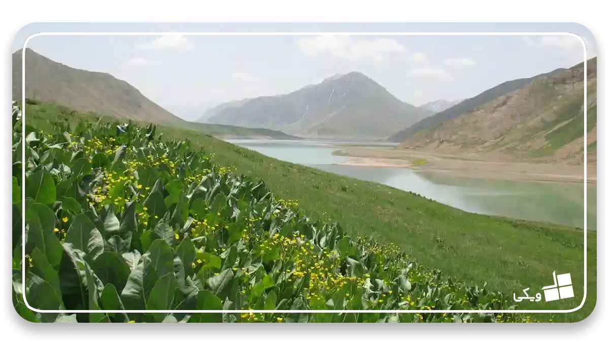 بهترین مکان برای ماهیگیری در کاراج ، دریاچه لار