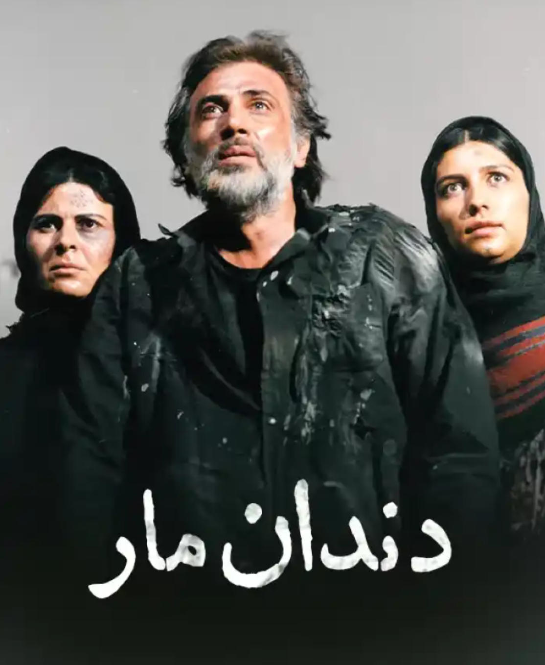 زندگی نامه ای از سن ، همسر ، همسر ، آثار مهم و سریال های معروف فریبا کاوساری // تکمیل