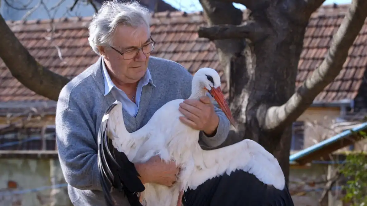 La verdadera historia de las cigüeñas enamoradas en Croacia El viaje de 20 años de Kliptan por amor a Malena, una doctora 2 1762605120 53 La verdadera historia de las ciguenas enamoradas en Croacia El.webp