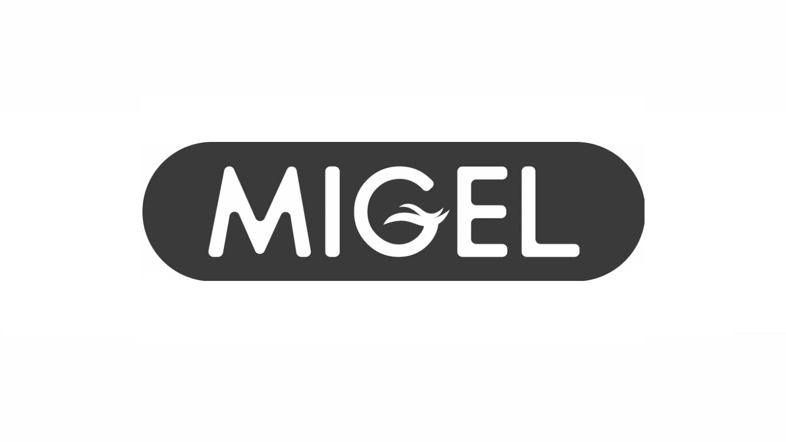 خرید بهترین قوری ایرانی