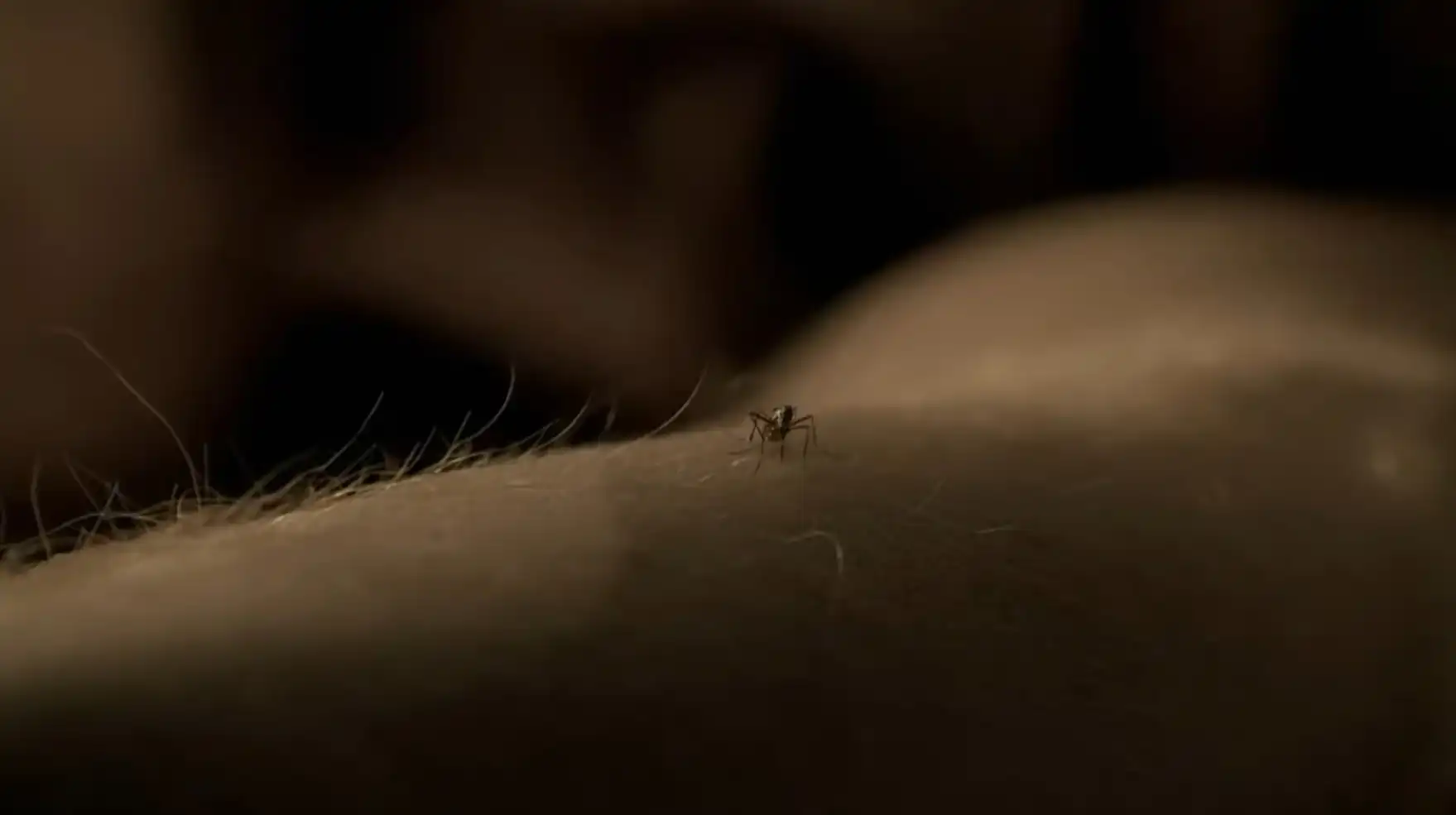 1762880355 645 از روی این تصاویر حدس بزنید چقدر عناوین معروف ترین.webp