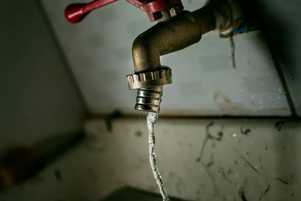 آیا فلوراید بر توانایی شناختی مغز تأثیر می گذارد؟ نتیجه ۴۰ سال تحقیق آمریکایی توسط بازیگرها.