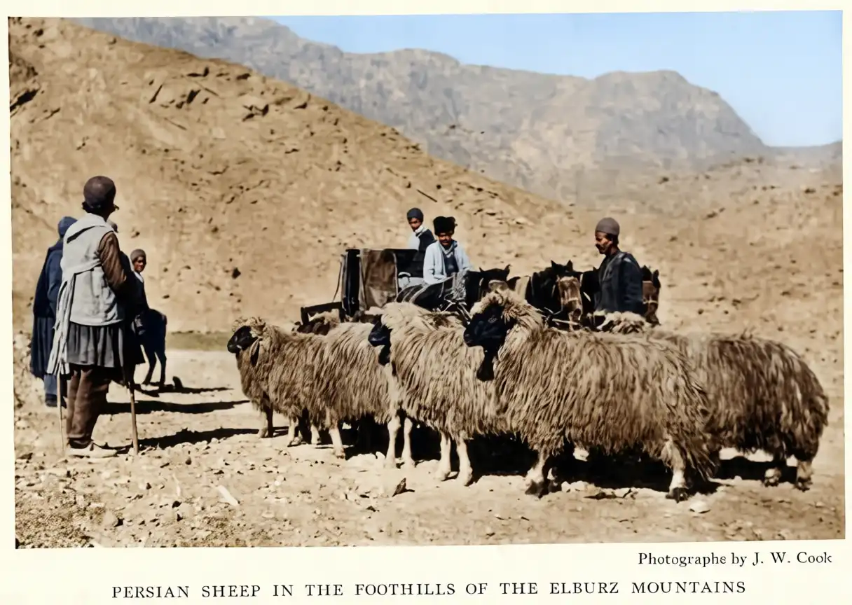 نسخه رنگی و ویرایش شده 100 عکس از ایران 105 سال پیش از National Geographic 1921 | یک دکتر 30 1767419159 691 نسخه رنگی و ویرایش شده 100 عکس از ایران 105.webp