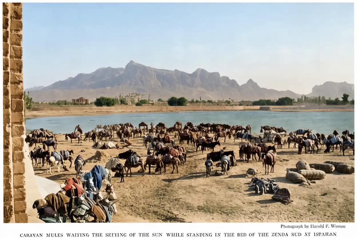 نسخه رنگی و ویرایش شده 100 عکس از ایران 105 سال پیش از National Geographic 1921 | یک دکتر 114 1767419167 624 نسخه رنگی و ویرایش شده 100 عکس از ایران 105.webp