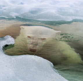 نسخه رنگی و ویرایش شده 100 عکس از ایران 105 سال پیش از National Geographic 1921 | یک دکتر 228 1767419178 347 نسخه رنگی و ویرایش شده 100 عکس از ایران 105