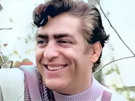 چرا فردین ایران را ترک نکرد؟ چرا فردین ایران را ترک نکرد؟