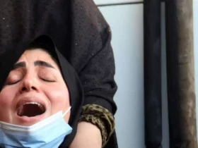 واکنش بازیگران و سینماگران خارجی به حملات اسرائیل در ایران واکنش بازیگران و سینماگران خارجی به حملات اسرائیل در ایران