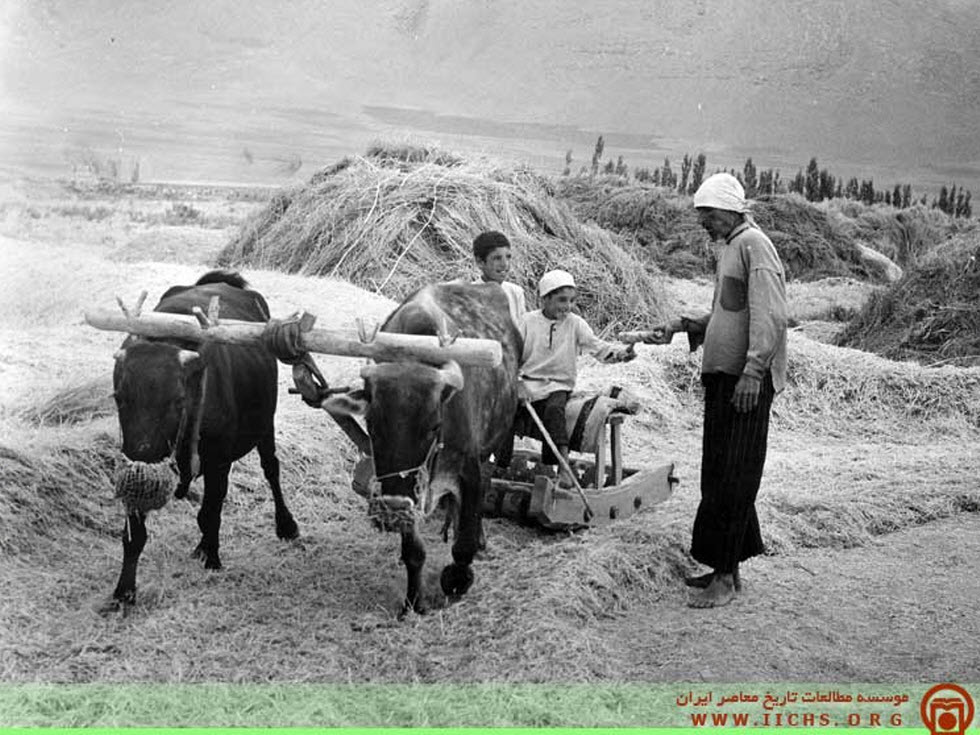 33 عکس کمیاب از رویدادهای تاریخی ایران و جهان به روایت اسناد | بازیگرها 2 1780513827 321 33 عکس کمیاب از رویدادهای تاریخی ایران و جهان به