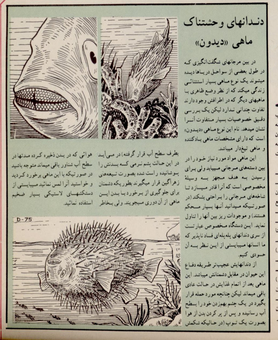 گالری عکس تبلیغات قدیمی: رمزگشایی از شعارهای تبلیغاتی ماندگار تاریخ ایران | بازیگرها 71 1780649283 960 گالری عکس تبلیغات قدیمی رمزگشایی از شعارهای تبلیغاتی ماندگار تاریخ