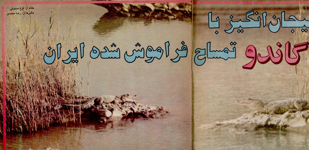 گالری عکس تبلیغات قدیمی: رمزگشایی از شعارهای تبلیغاتی ماندگار تاریخ ایران | بازیگرها 125 1780649288 467 گالری عکس تبلیغات قدیمی رمزگشایی از شعارهای تبلیغاتی ماندگار تاریخ