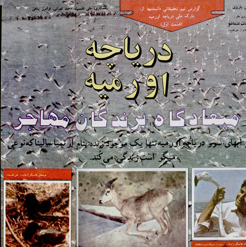 گالری عکس تبلیغات قدیمی: رمزگشایی از شعارهای تبلیغاتی ماندگار تاریخ ایران | بازیگرها 151 1780649290 889 گالری عکس تبلیغات قدیمی رمزگشایی از شعارهای تبلیغاتی ماندگار تاریخ